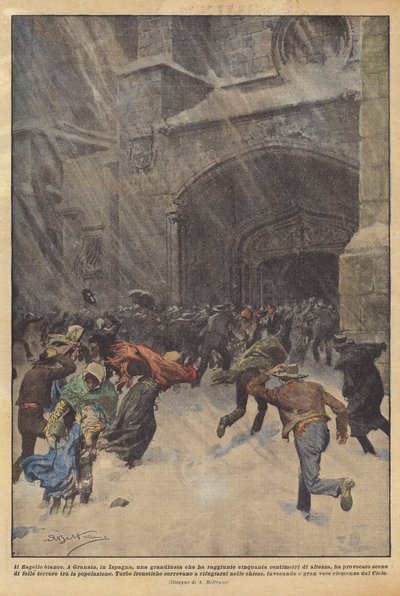Il flagello bianco da Achille Beltrame