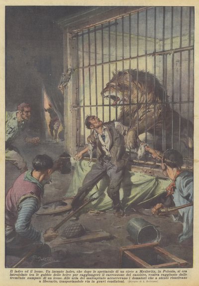 Il ladro ed il leone da Achille Beltrame