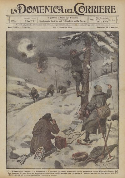Il lavoro dei ragni da Achille Beltrame