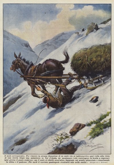 Il mulo nevrastenico da Achille Beltrame