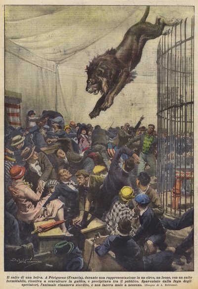 Il salto di una belva da Achille Beltrame