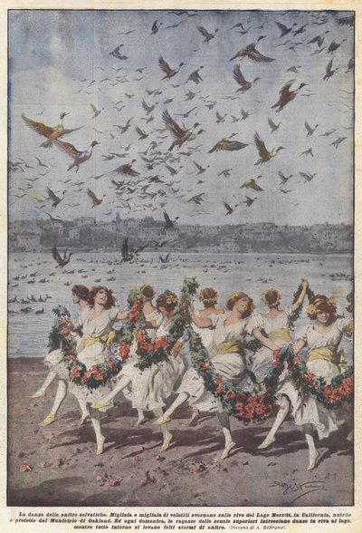 La danza delle anatre selvatiche da Achille Beltrame