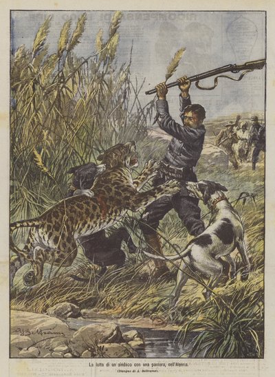 La lotta di un sindaco con una pantera in Algeria da Achille Beltrame