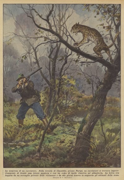 La sorpresa di un cacciatore da Achille Beltrame
