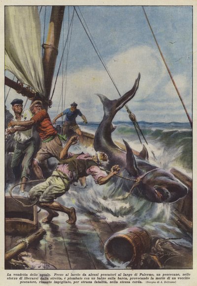 La vendetta dello squalo da Achille Beltrame