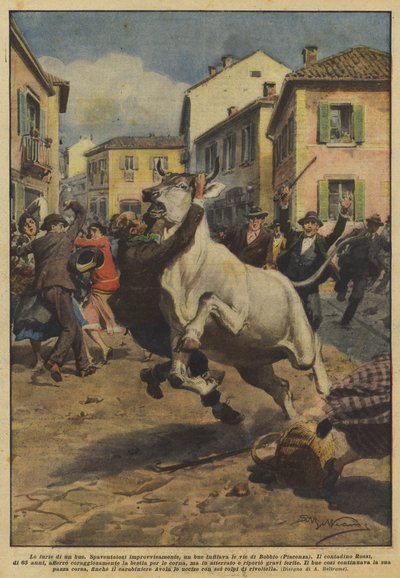 Le furie di un bue da Achille Beltrame