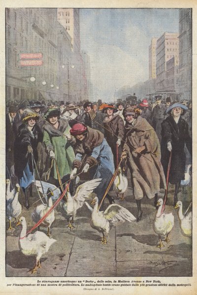Le stravaganze americane, un Derby delle oche, in Madison Avenue a New York, per l