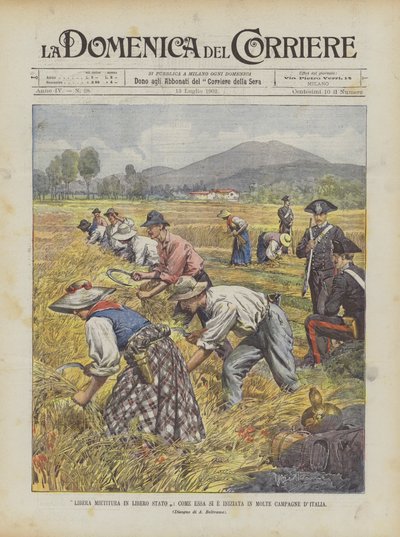 Libera mietitura in libero stato, come essa si è iniziata in molte campagne d