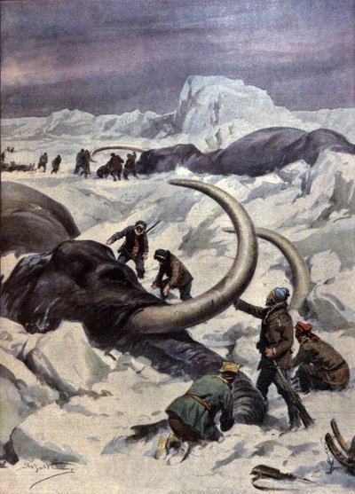 Mammut al Polo Nord da Achille Beltrame