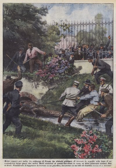 Molto rumore per nulla da Achille Beltrame