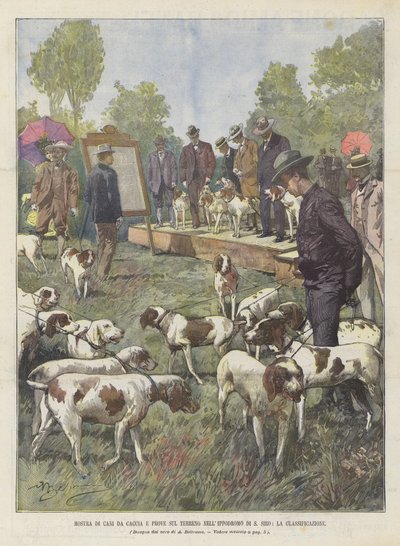 Mostra di cani da caccia e prove sul terreno nell