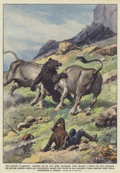 Per salvare il padrone da Achille Beltrame