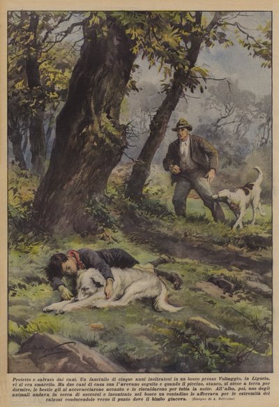 Protetto e salvato dai cani da Achille Beltrame