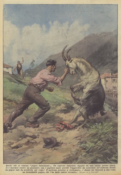 Quello che si chiama pugno fulminante da Achille Beltrame