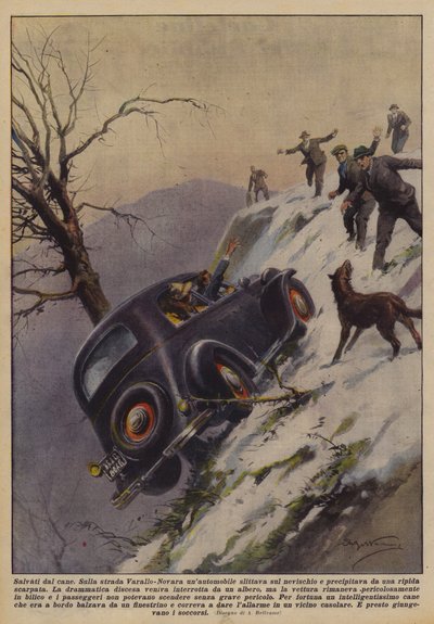 Salvati dal cane da Achille Beltrame