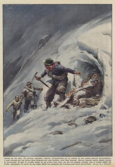 Salvato da un cane da Achille Beltrame