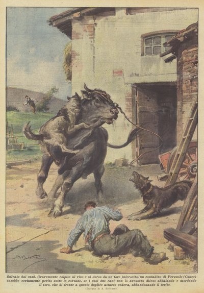 Salvato dai cani da Achille Beltrame