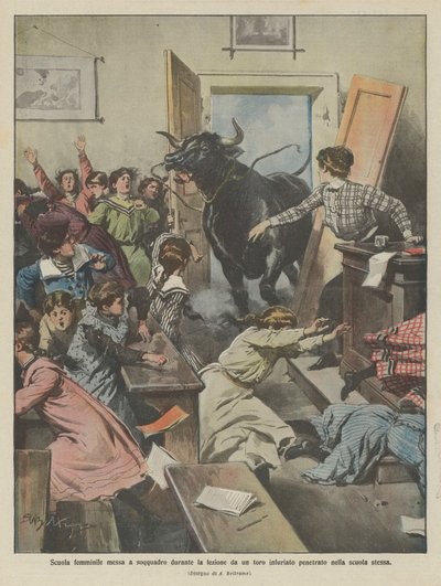 Scuola femminile messa a soqquadro durante la lezione da un toro infuriato penetrato nella scuola stessa da Achille Beltrame