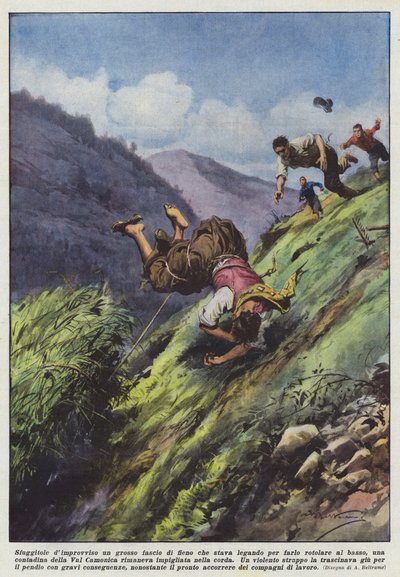Sfuggitole improvvisamente un grosso fascio di fieno che stava legando per farlo rotolare al basso da Achille Beltrame