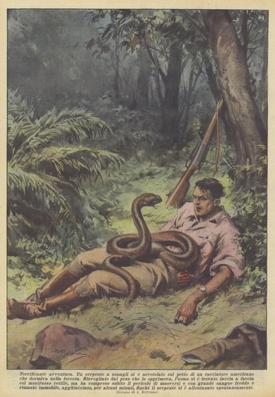 Terrificante avventura da Achille Beltrame