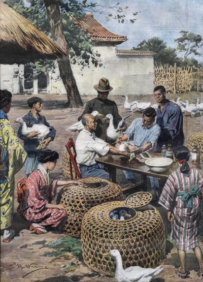Giardino del Palazzo Imperiale di Tokyo: vaccinazione e assistenza veterinaria per le anatre per proteggerle dal colera. Illustrazione di Achille Beltrame del 1928. da Achille Beltrame