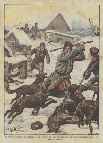 Un episodio del freddo in Ungheria, i lupi assaltano gli abitanti delle campagne ove il termometro segna -15° da Achille Beltrame