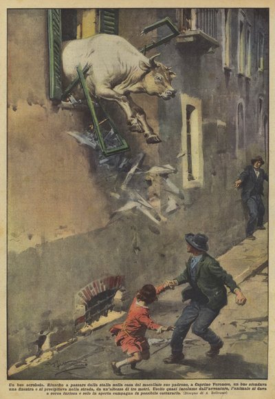 Un bue acrobata da Achille Beltrame