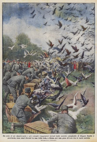 Un cielo di ali da Achille Beltrame