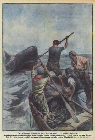 Un drammatico scontro con una tigre del mare da Achille Beltrame