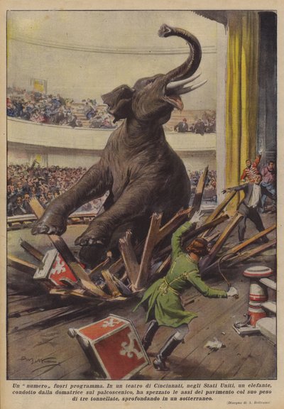 Un numero fuori programma da Achille Beltrame
