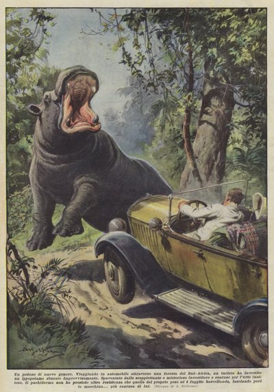 Un pedone di nuovo genere da Achille Beltrame