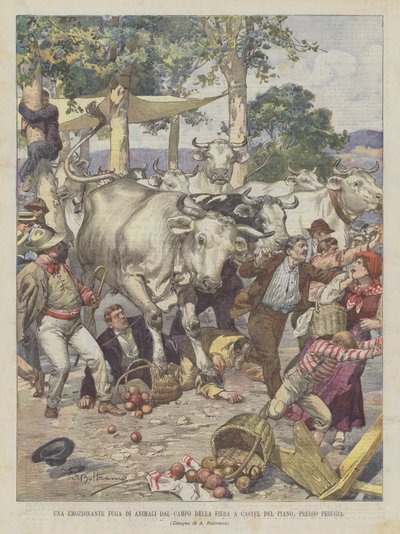 Una emozionante fuga di animali dal campo della fiera a Castel del Piano, presso Perugia da Achille Beltrame