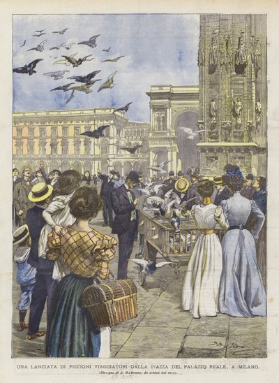 Una lanciata di piccioni viaggiatori dalla piazza del Palazzo Reale, a Milano da Achille Beltrame