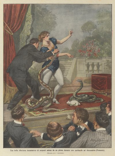 Una bella siberiana incantatrice di serpenti morsa da un pitone durante uno spettacolo ad Alessandria (Piemonte) da Achille Beltrame