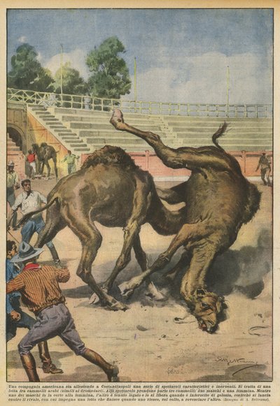 Una compagnia americana sta allestendo a Costantinopoli una serie di spettacoli caratteristici e incruenti da Achille Beltrame