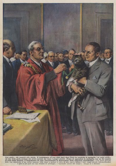 Una gatta che passerà alla storia da Achille Beltrame
