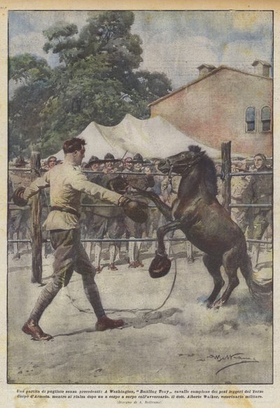 Una partita di pugilato senza precedenti, a Washington, Battling Tony cavallo campione dei pesi da Achille Beltrame