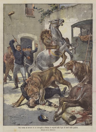 Una scena di terrore in un serraglio a Mosca in seguito alla fuga di leoni dalla gabbia da Achille Beltrame