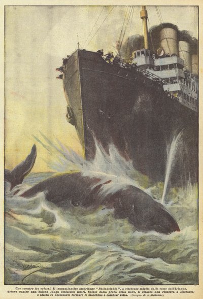 Uno scontro fra colossi da Achille Beltrame