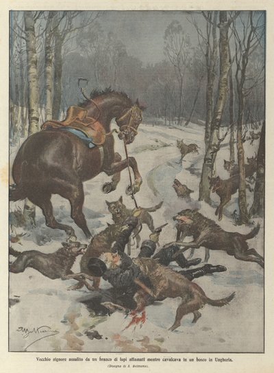 Vecchio signore assalito da un branco di lupi affamati mentre cavalcava in un bosco in Ungheria da Achille Beltrame