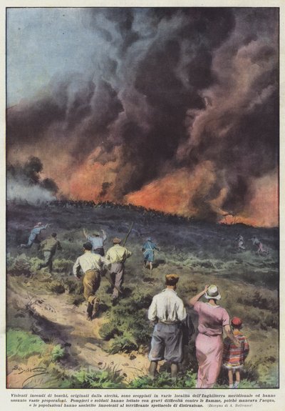 Violenti incendi di boschi, originati dalla siccità, sono scoppiati in varie località da Achille Beltrame