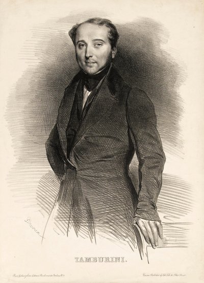 Ritratto del cantante d