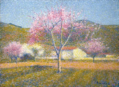 Un frutteto in primavera (Meli in fiore) da Achille Lauge