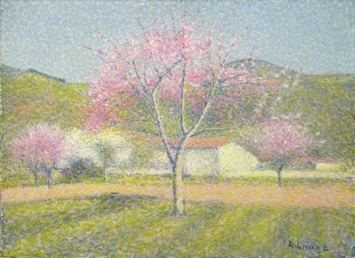 Un frutteto in primavera, meli in fiore, c.1920-29 da Achille Lauge