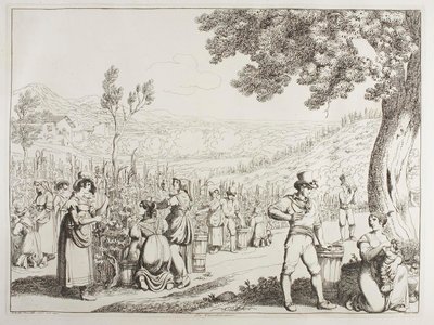 La vendemmia da Achille Pinelli