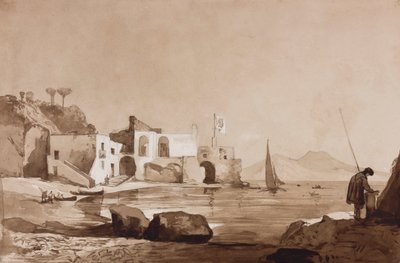 Porto con bandiera Borbone e Vesuvio a sud, con aggiunte di un allievo Borbone da Achille Vianelli