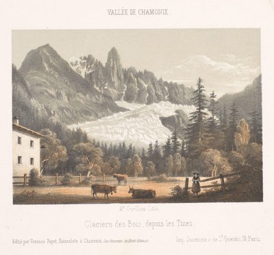 Veduta di Chamonix e del Monte Bianco da nord Ricordo di Chamonix-Mont-Blanc Museo del Monte Bianco da Ad. Cuvillier