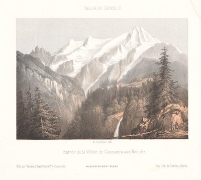 Vista di Chamonix con il ghiacciaio Mer-de-Glace e l