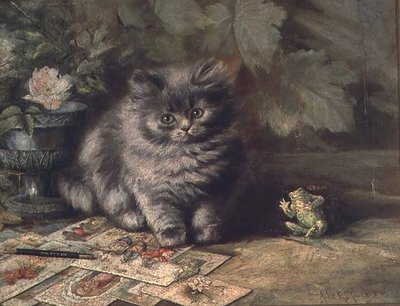 Ritratto di un gattino da Ada Eliza Tucker