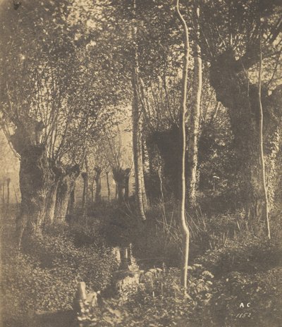 Paesaggio, Arras, 1852 da Adalbert Cuvelier